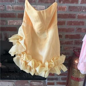 Angel Biba Sunny Yellow Apparel, original purchase was from Hazel and Olive.